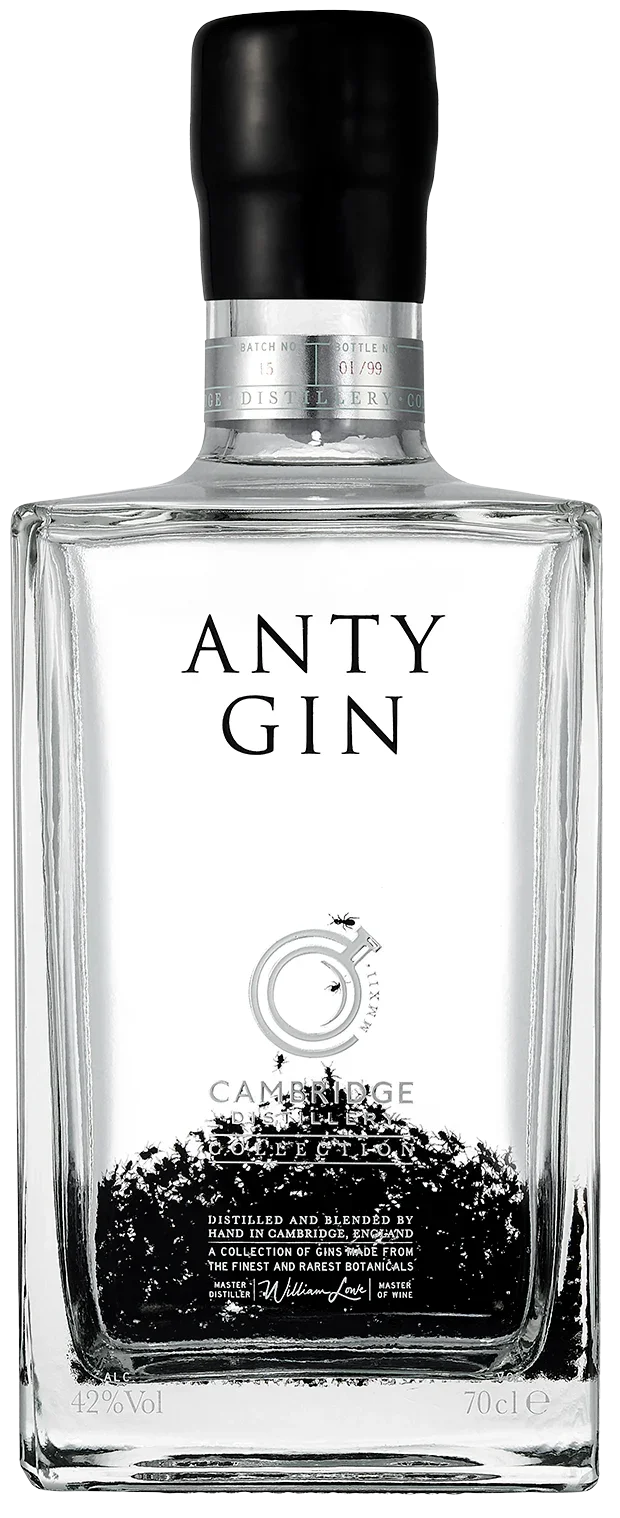 Clear rectangular bottle of Anty Gin with black cap and minimalist label design