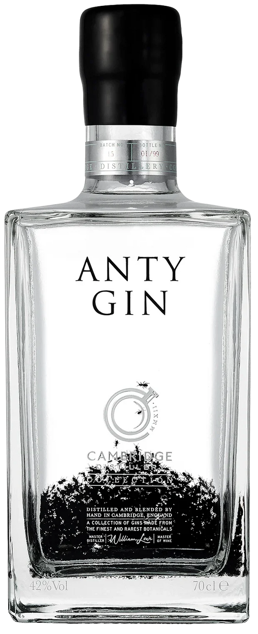 Clear rectangular bottle of Anty Gin with black cap and minimalist label design